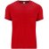 Camiseta Roly TERRIER rojo