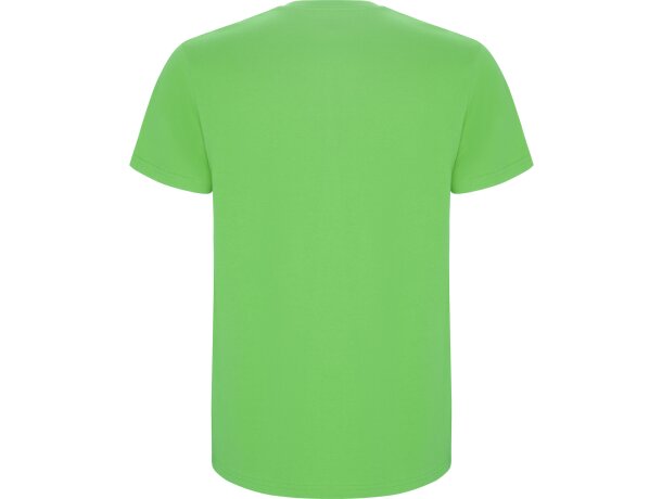 Camiseta STAFFORD Roly verde oasis