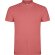 Polo STAR Roly rojo crisantemo