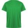 Camiseta DAYTONA Roly verde helecho