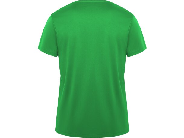 Camiseta DAYTONA Roly verde helecho