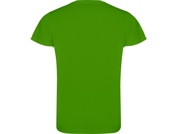 Camiseta CAMIMERA Roly verde helecho