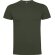 Camiseta DOGO PREMIUM 165 gr de Roly verde aventura