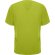 Camiseta FEROX Roly pistacho