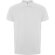 Polo ROVER Roly blanco