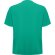 Camiseta FEROX Roly verde lab