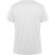 Camiseta DAYTONA Roly blanco