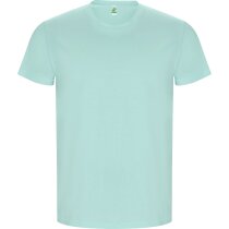 Camisetas serigrafiadas Roly Golden algodón orgánico