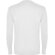 CAMISETA Roly POINTER CHILD blanco