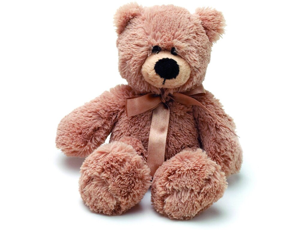 peluches con grabaciones personalizadas