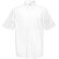 Camisa de trabajo Oxford manga corta con bolsillo y bajo curvo