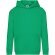 Sudadera de niño con capucha clásica Kelly verde