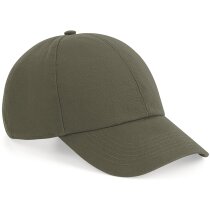 Gorra de algodón orgánico 6 paneles personalizada