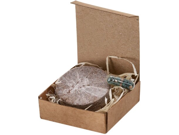 Pack plantable Aquael con semillas en cartón reciclado detalle 2