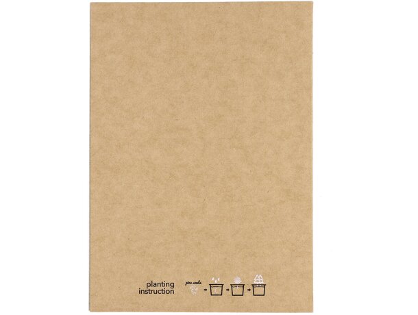 Postal adorno Astrox detalle 5