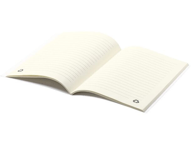 Bloc Notas Semillas Serex