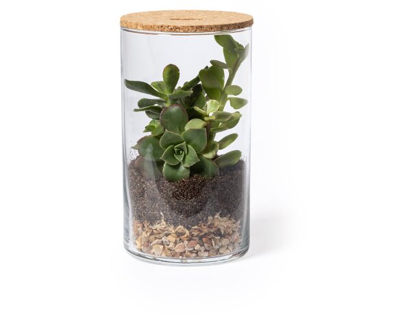 Terrarium Anymak