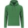 Sudadera adulto Draco Verde