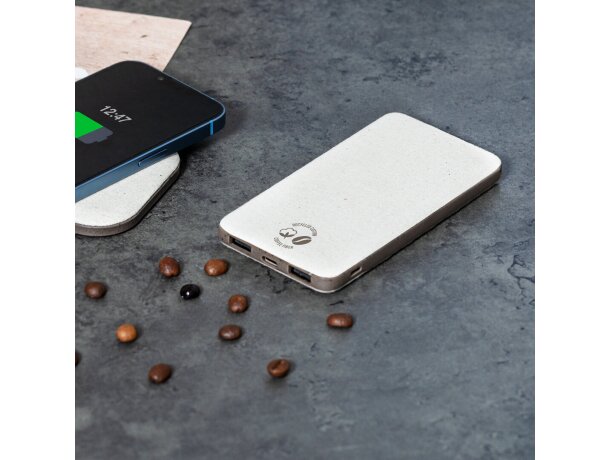 Power bank Mayer