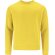 Sudadera adulto Cosmos Amarillo