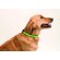 Collar reflectante para mascotas barato