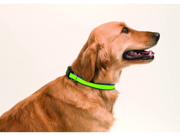 Collar reflectante para mascotas barato