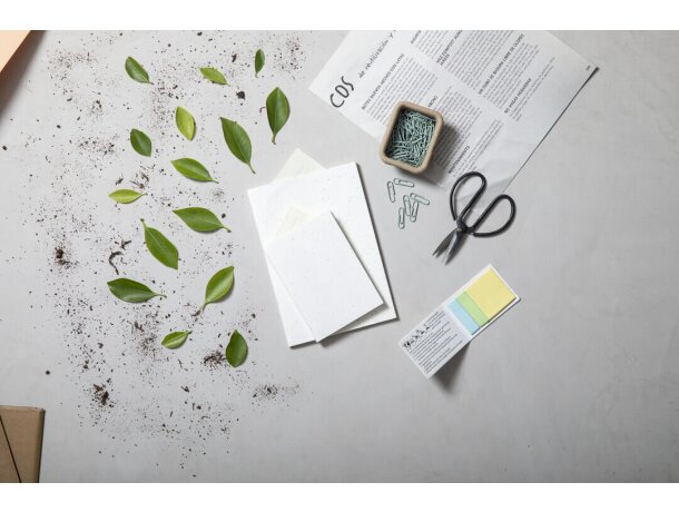 Bloc Notas Semillas Naikel