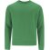 Sudadera adulto Cosmos Verde