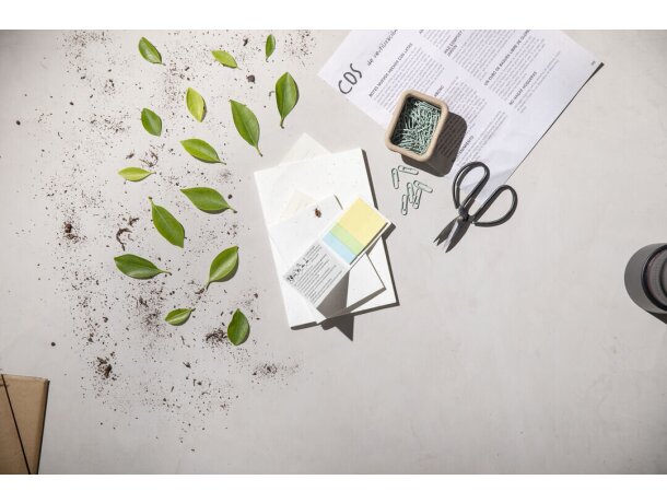 Bloc Notas Semillas Naikel