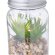 Planta decorativa Kyala cristal borosilicato con led detalle 4