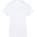 Camisetas manga corta algodón ring spun 160 g/m2 Seiyo detalle 2