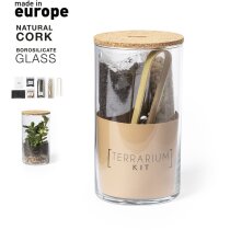 Terrario de cristal borosilicato con semillas de cactus