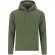 Sudadera adulto Draco Verde botella