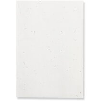 Bloc de notas con hojas lisas A5 en papel semilla