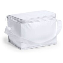 Nevera de plástico y aluminio para bebidas Nevera de plástico y aluminio para bebidas