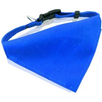 Collar para mascotas con bandana personalizado