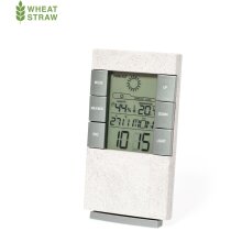 Maginly con termómetro digital en caña de trigo