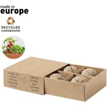 Kit huerto en cartón con semillas varias