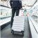 Trolley Silmour barato