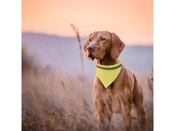 Collar Bandana Bipols personalizado amarillo