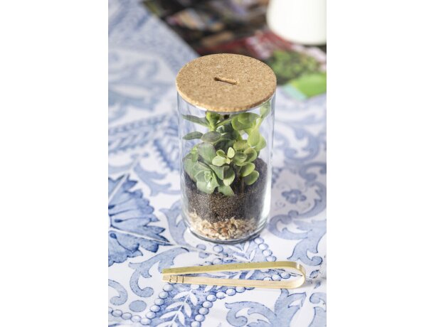 Terrarium Anymak