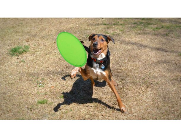 Frisbee Watson de poliéster barato