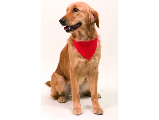 Collar para mascotas con bandana personalizado rojo