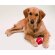 Pelota Niki para mascotas de fieltro personalizada roja
