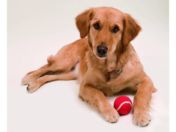 Pelota Niki para mascotas de fieltro personalizada roja