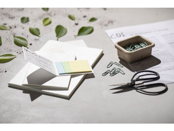 Bloc Notas Semillas Naikel