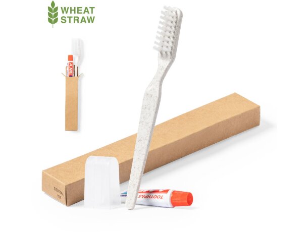 Set Dental Kit