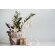 Set Adornos Tilmex detalle 12