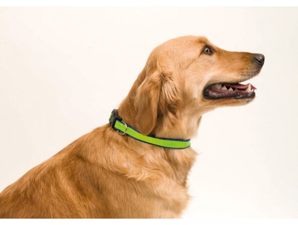 Collar Muttley reflectante para mascotas