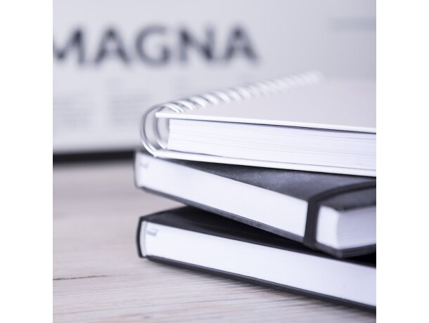 Agenda día pagina básica Cannes detalle 1